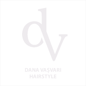 Dana Vasvari Hairstyle Logo
