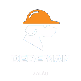 Dedeman Zalau Logo