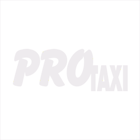 Pro Taxi Logo